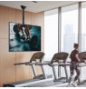Techly 37-70 Telescopic Ceiling Long Support LED TV LCD" ICA-CPLB 946L