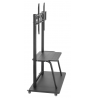Gembird TVS-100F-01 TV floor stand with caster wheels, 37" - 100", up to 150kg