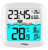 Wireless Swimming Pool Temperature Sensor Weather Station Humidity DCF RCC