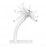 Maclean MC-468W Universal Tablet Stand Holder Lockable 7.9" - 11" Table or Wall Mounting Public Display Kiosk Sturdy Anti-Theft