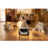 Enabot | Family Robot IP Camera | ROLA PetPal