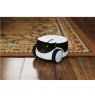 Enabot | Family Robot IP Camera | ROLA PetPal
