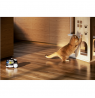 Enabot | Family Robot IP Camera | ROLA PetPal