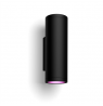 Philips Hue WCA Appear Outdoor Wall Lantern, Black | 8 W | 2000-6500 Hue White Colour Ambiance