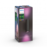 Philips Hue WCA Appear Outdoor Wall Lantern, Black | 8 W | 2000-6500 Hue White Colour Ambiance