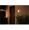 Philips Hue WCA Daylo Outdoor Wall Lantern, Black | 15 W | 2000-6500 Hue White Colour Ambiance