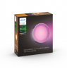Philips Hue WCA Daylo Outdoor Wall Lantern, Inox | 15 W | 2000-6500 Hue White Colour Ambiance