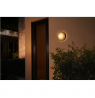 Philips Hue WCA Daylo Outdoor Wall Lantern, Inox | 15 W | 2000-6500 Hue White Colour Ambiance