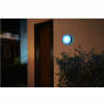 Philips Hue WCA Daylo Outdoor Wall Lantern, Inox | 15 W | 2000-6500 Hue White Colour Ambiance