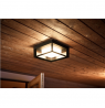 Philips Hue WCA Econic Outdoor Square Wall Lantern | 15 W | 2000-6500 Hue White Colour Ambiance