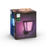 Philips Hue WCA Econic Outdoor Wall Lantern Up | 15 W | 2000-6500 Hue White Colour Ambiance