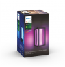 Philips Hue WCA Impress Outdoor Wall Lantern | 8 W | 2000-6500 Hue White Colour Ambiance