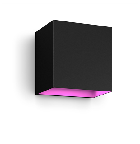 Philips Hue WCA Resonate Outdoor Downward Wall Lantern, Black | 8 W | 2000-6500 Hue White Colour Ambiance
