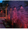 Philips Hue WCA Resonate Outdoor Downward Wall Lantern, Black | 8 W | 2000-6500 Hue White Colour Ambiance