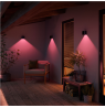 Philips Hue WCA Resonate Outdoor Downward Wall Lantern, Black | 8 W | 2000-6500 Hue White Colour Ambiance