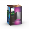 Philips Hue WCA Resonate Outdoor Wall Lantern, Inox | 8 W | 2000-6500 Hue White Colour Ambiance