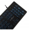 White Shark GK-003141 Tachi Black US