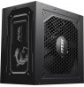 MSI MAG  A750GL 750W PCIE5 II 80+ Gold Power Supply (306-7ZP8D11-CE0)