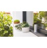 Netatmo NWS01-EC digital weather station Aluminium Battery/USB Wi-Fi