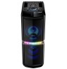 System audio Blaupunkt PS05.2DB