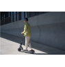 Segway | E2 E II | eKickScooter | 450 W | Up to 20 km/h | 8.1 " | Black and Gray