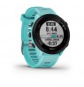Garmin Forerunner 55 2.64 cm (1.04") MIP 42 mm Digital 208 x 208 pixels GPS (satellite)
