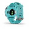 Garmin Forerunner 55 2.64 cm (1.04") MIP 42 mm Digital 208 x 208 pixels GPS (satellite)