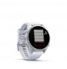 Garmin Fenix 8 AMOLED 43mm Srebrny