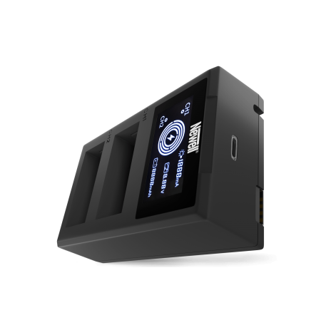Newell FDL-USB-C dual-channel charger for NP-W126