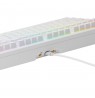 Glorious GMMK 3U 100% Custom Gaming Keyboard - Pre-Built, ANSI (US), Fox HE Switches, White