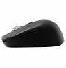 Sbox WM-710 Black Wireless