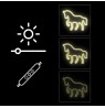 Manta SNL103WH Style Neon Lights Horse white