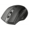Tracer 47432 Wireless Optical Mouse RF 2,4Ghz/BT Black