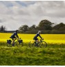 Thule 4211 Shield Pannier 25L Pair Yellow