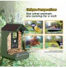 Easypix BirdyCam