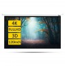 Silelis Electric Screen 244x183 cm  ESE-2