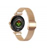 Tracer 47566 SMK15 Aurora
