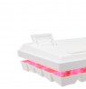 Baracuda BGK-03211 Dolphin White US Mechanical Red Switches