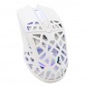 White Shark GM-5018 Caradoc RGB/7200 dpi White