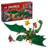 LEGO NINJAGO 71829