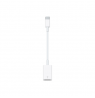 Apple | USB-C to USB Adapter