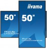 iiyama LH5065UHSB-B1AG Signage Display Digital signage flat panel 125.7 cm (49.5") LCD Wi-Fi 800 cd/m² 4K Ultra HD Black