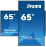 iiyama ProLite Digital signage flat panel 163.8 cm (64.5") LCD Wi-Fi 500 cd/m² 4K Ultra HD Black Built-in processor Android 11