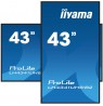 iiyama LH4341UHS-B2 Signage Display 108 cm (42.5") LCD 500 cd/m² 4K Ultra HD Built-in processor Android 8.0 18/7