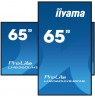 Iiyama Monitor 65 LH6560UHS-B2AG with HDMI and USB