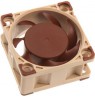 Wentylator NOCTUA NF-A4X20 40x20mm 3-Pin 5V