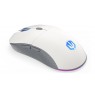 ENDORFY GEM Plus Wireless Onyx White mouse Gaming Ambidextrous RF Wireless + USB Type-C Optical 26000 DPI