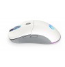 ENDORFY GEM Plus Wireless Onyx White mouse Gaming Ambidextrous RF Wireless + USB Type-C Optical 26000 DPI