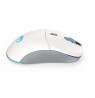 ENDORFY GEM Plus Wireless Onyx White mouse Gaming Ambidextrous RF Wireless + USB Type-C Optical 26000 DPI