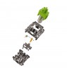 Glorious Raptor Standard Mechanical Switch, 5-Pin, clicky, MX-Stem, 55g - lubed, 36 pieces